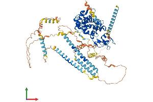 Protein Structure (PS) image for Dystrobrevin alpha (DTNA) (AA 1-743) protein (His tag) (ABIN7547177)