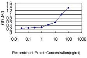Detection limit for recombinant GST tagged PSMA4 is approximately 3ng/ml as a capture antibody. (PSMA4 抗体  (AA 1-261))