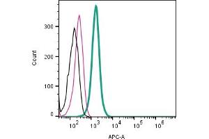 Cell surface detection of CD81 by direct flow cytometry in live intact human  MG glioblastoma cell line: + Rabbit IgG Isotype Control-APC (ABIN7582043). (CD81 抗体  (Extracellular) (APC))