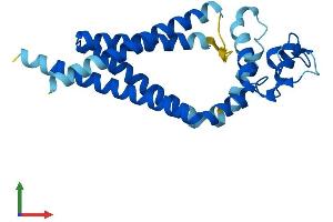 AlphaFold protein structure predicition of Mouse Recombinant Tspan9 Protein, UniprotID Q8BJU2 (Tetraspanin 9 Protein (TSPAN9) (AA 1-239) (His tag))