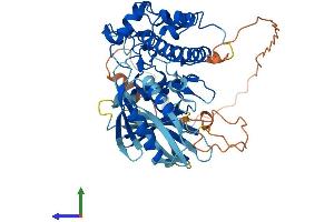 Protein Structure (PS) image for Checkpoint Kinase 1 (CHEK1) (AA 1-476) protein (His tag) (ABIN7553430)