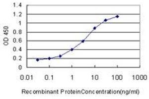 Detection limit for recombinant GST tagged S100A13 is approximately 0. (S100A13 抗体  (AA 1-98))