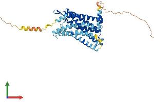 Protein Structure (PS) image for Chemokine (C-C Motif) Receptor 4 (CCR4) (AA 1-360) protein (His tag) (ABIN7553264)