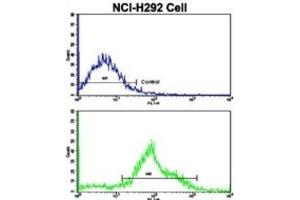 Flow Cytometry (FACS) image for anti-Fat Mass and Obesity-Associated (FTO) antibody (ABIN3002909) (FTO 抗体)