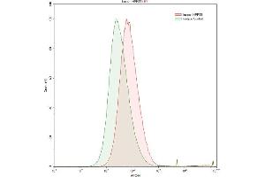 Detection of HPRT1 in HepG2 human hepatocellular carcinoma cell line using Polyclonal Antibody to Hypoxanthine Phosphoribosyltransferase 1 (HPRT1) (HPRT1 抗体  (AA 3-218))