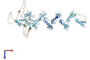 Protein Structure (PS) image for Zinc Finger Protein 470 (ZNF470) (AA 1-717) protein (His tag) (ABIN7545467)