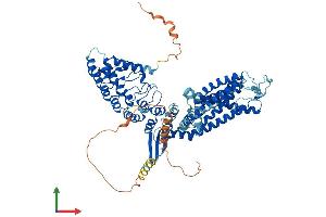 Protein Structure (PS) image for Transient Receptor Potential Cation Channel, Subfamily V, Member 5 (TRPV5) (AA 1-729) protein (His tag) (ABIN7555846)