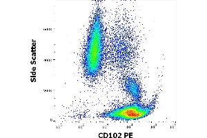 Flow cytometry surface staining pattern of human peripheral whole blood stained using anti-human CD102 (CBR-IC2/2) PE antibody (10 μL reagent / 100 μL of peripheral whole blood). (ICAM2 抗体  (PE))