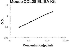 Mouse CCL28 PicoKine ELISA Kit standard curve (CCL28 ELISA 试剂盒)