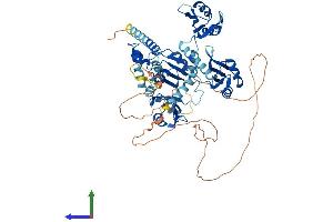 Protein Structure (PS) image for Poly(A) Binding Protein, Cytoplasmic 1 (PABPC1) (AA 1-636) protein (His tag) (ABIN7563071)
