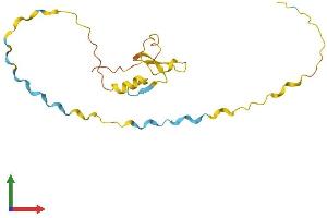 AlphaFold protein structure predicition of Mouse Recombinant Mobp Protein, UniprotID Q9D2P8