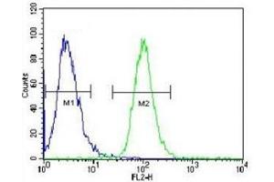 AKT2 antibody flow cytometric analysis of HeLa cells (right histogram) compared to a negative control (left histogram). (AKT2 抗体  (AA 93-123))