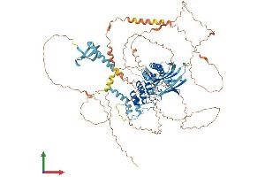 AlphaFold protein structure predicition of Mouse Recombinant Mphosph8 Protein, UniprotID Q3TYA6 (MPHOSPH8 Protein (AA 1-858) (His tag))