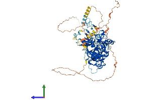 AlphaFold protein structure predicition of Mouse Recombinant L3mbtl2 Protein, UniprotID P59178