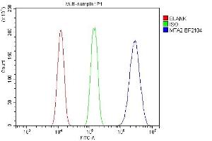 Flow Cytometry analysis of A431 cells using anti-MTA2 antibody (ABIN7599519). (MTA2 抗体  (AA 1-668))