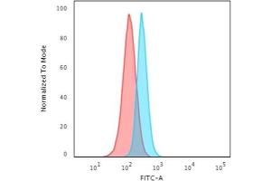 Flow Cytometry (FACS) image for anti-Spectrin, Beta, Non-erythrocytic 2 (SPTBN2) (AA 356-475) antibody (ABIN6940653)