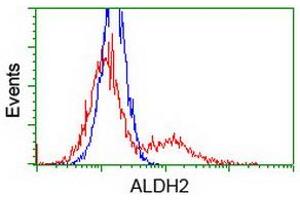 Image no. 2 for anti-Aldehyde Dehydrogenase 2 Family (Mitochondrial) (ALDH2) antibody (ABIN1496589)