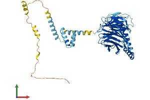 Protein Structure (PS) image for PRP4 Pre-mRNA Processing Factor 4 Homolog (PRPF4) (AA 1-521) protein (His tag) (ABIN7561245)
