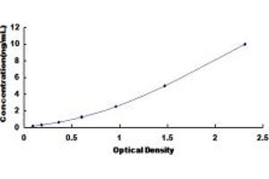 Typical standard curve (SNX9 ELISA 试剂盒)