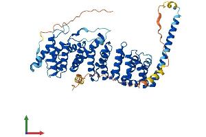 Protein Structure (PS) image for Protein Phosphatase 2, Regulatory Subunit B', gamma (PPP2R5C) (AA 1-524) protein (His tag) (ABIN7551740)