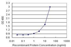 Sandwich ELISA detection sensitivity ranging from 1 ng/mL to 100 ng/mL. (ANXA5 (人) Matched Antibody Pair)