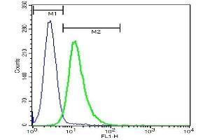Flow Cytometry (FACS) image for anti-Triggering Receptor Expressed On Myeloid Cells 2 (TREM2) (AA 1-100) antibody (ABIN749678)