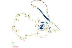 Protein Structure (PS) image for Cortactin (CTTN) (AA 1-546) protein (His tag) (ABIN7563864)