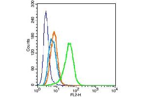 U-937 cells were fixed with 2% PFA for 10min at room temperature, and incubated in 5% BSA blocking buffer for 30 min at room temperature. (Perilipin A/B 抗体)