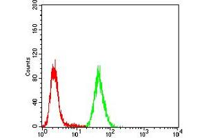 Flow Cytometry (FACS) image for anti-Chromobox Homolog 4 (CBX4) (AA 397-514) antibody (ABIN5883842) (CBX4 抗体  (AA 397-514))