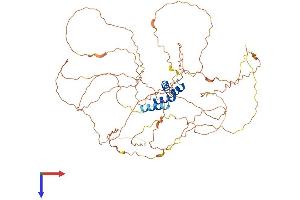 RSC1A1 Protein (AA 1-617) (His tag)