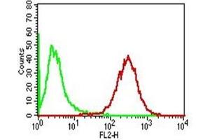 Flow Cytometry of human Adipophilin on PBMC. (ADRP 抗体  (AA 249-376))