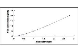 Typical standard curve (GP2 ELISA 试剂盒)