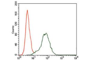 Flow Cytometry (FACS) image for anti-Insulin-Like Growth Factor 2 (IGF2) (AA 25-180) antibody (ABIN1846026) (IGF2 抗体  (AA 25-180))