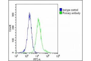 Overlay histogram showing Hela cells stained with (ABIN6242502 and ABIN6578624)(green line). (NUP93 抗体  (AA 20-54))