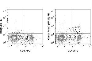 C57Bl/6 splenocytes were stained with APC Anti-Mouse CD4 (ABIN6961501), followed by intracellular staining with 0. (FOXP3 抗体  (PE))