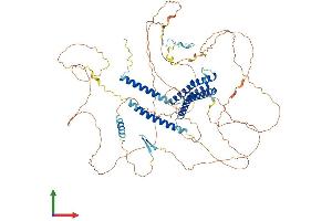 AlphaFold protein structure predicition of Mouse Recombinant Dlgap5 Protein, UniprotID Q8K4R9