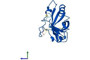 Protein Structure (PS) image for gamma-Glutamylamine Cyclotransferase (GGACT) (AA 1-153) protein (His tag) (ABIN7547944)