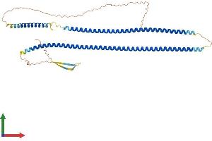 Protein Structure (PS) image for Keratin 27 (KRT27) (AA 1-459) protein (His tag) (ABIN7548701)