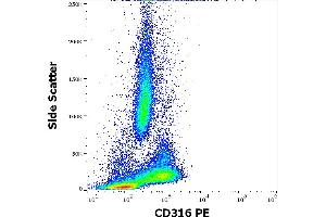 Flow cytometry surface staining pattern of human peripheral whole blood stained using anti-human CD316 (8A12) PE antibody (10 μL reagent / 100 μL of peripheral whole blood). (IGSF8 抗体  (PE))