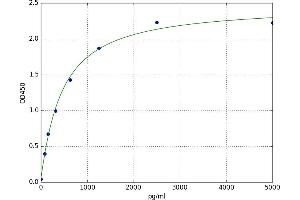A typical standard curve