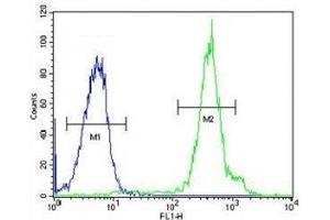 FUS antibody flow cytometric analysis of HeLa cells (right histogram) compared to a negative control (left histogram). (FUS 抗体  (AA 499-526))