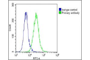 Overlay histogram showing A549 cells stained with (green line). (F13A1 抗体  (AA 60-94))