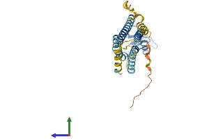 Protein Structure (PS) image for Gap Junction Protein, beta 5, 31,1kDa (GJB5) (AA 1-271) protein (His tag) (ABIN7556873)
