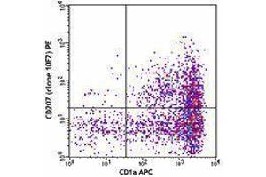 Flow Cytometry (FACS) image for anti-CD207 Molecule, Langerin (CD207) antibody (ABIN2664388) (CD207 抗体)