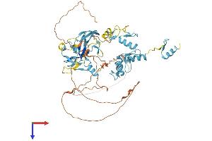 PRDM14 Protein (AA 1-571) (His tag)