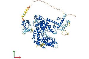 Protein Structure (PS) image for Protein-Kinase, Interferon-Inducible Double Stranded RNA Dependent Inhibitor, Repressor of (p58 Repressor) (PRKRIR) (AA 1-761) protein (His tag) (ABIN7550274)