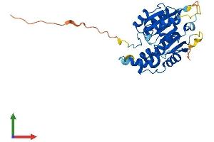 Protein Structure (PS) image for BCDIN3 Domain Containing (BCDIN3D) (AA 1-285) protein (His tag) (ABIN7560111)