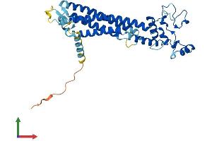 Protein Structure (PS) image for Peripherin 2 (Retinal Degeneration, Slow) (PRPH2) (AA 1-346) protein (His tag) (ABIN7550991)