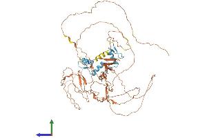 Protein Structure (PS) image for Sp2 Transcription Factor (Sp2) (AA 1-613) protein (His tag) (ABIN7546405)