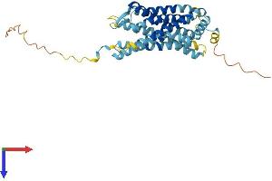CXCR2 Protein (AA 1-359) (His tag)